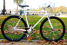White black Teman Single Speed